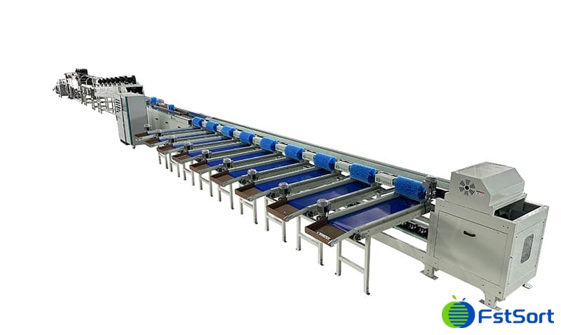 images/1671439639973mango processing line.jpg